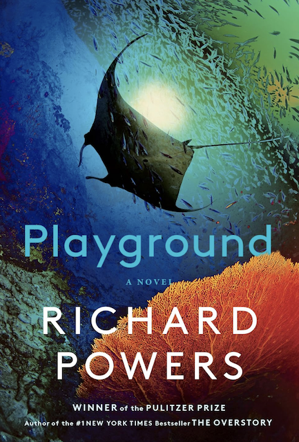 Playground book review